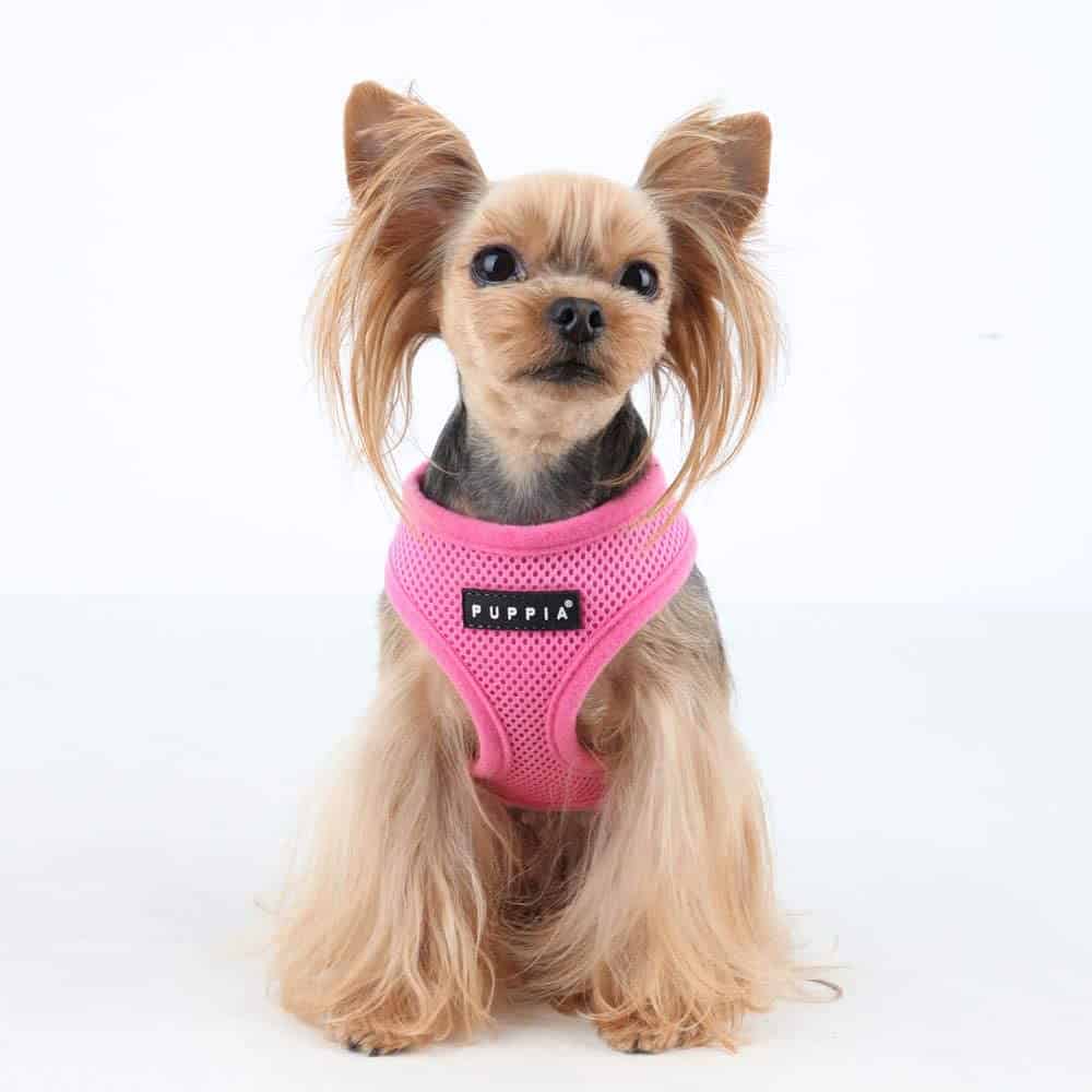 Puppia Padded Front Lead Dog Harness